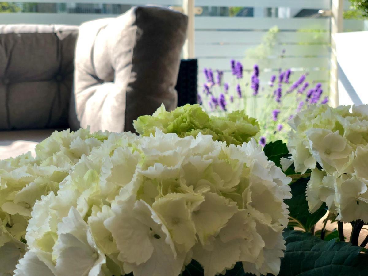 Bialy Apartament Z Tarasem W Playa Baltis 米兹多洛杰 外观 照片